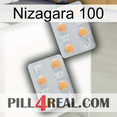 Nizagara 100 25